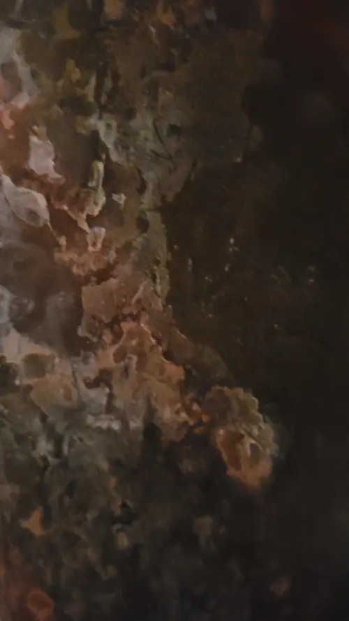 Stone114 texture
