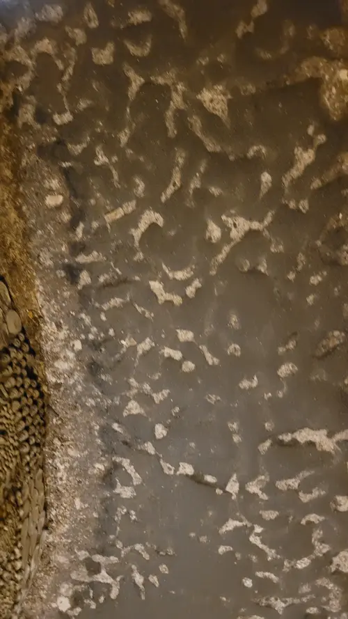 Stone123 texture