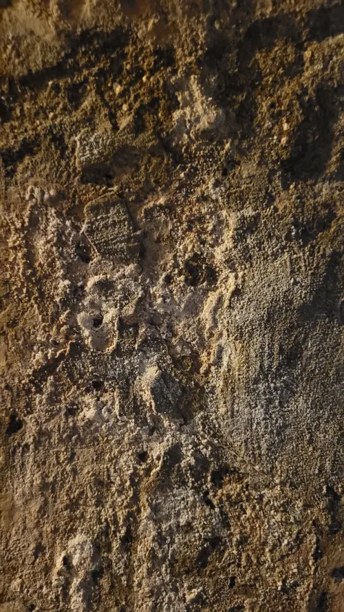 Stone129 texture