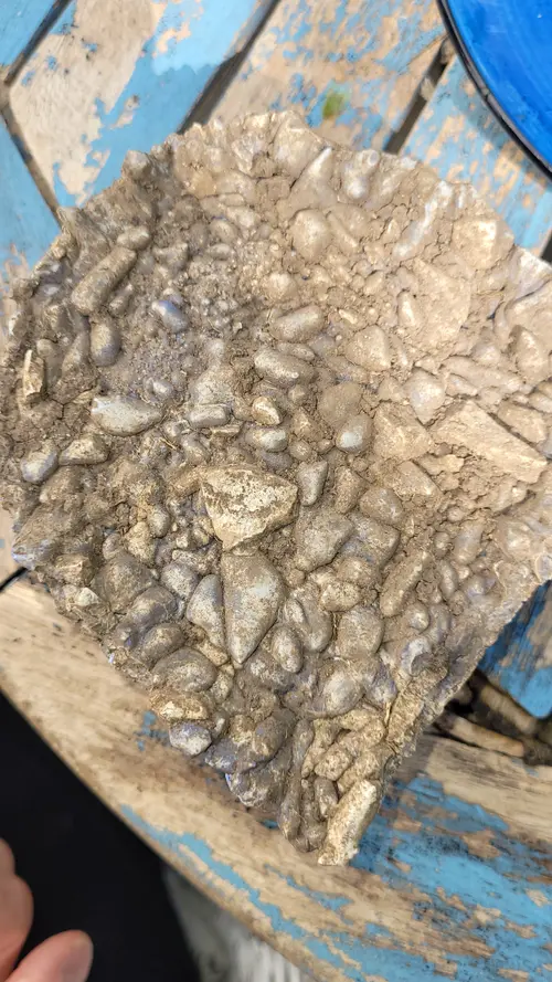 Stone147 texture