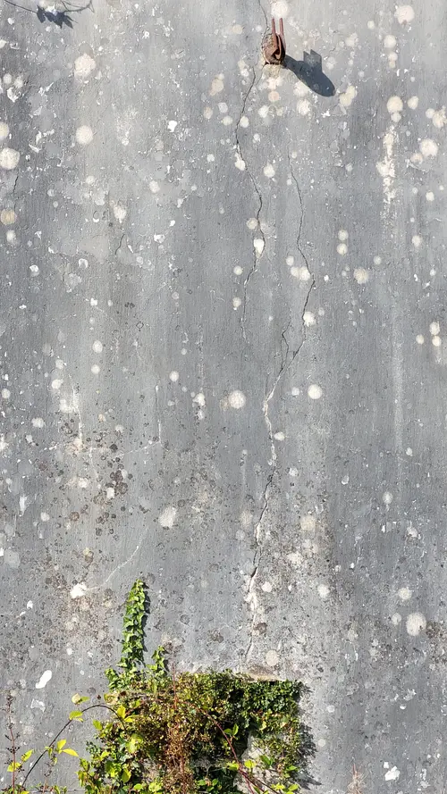 Stone165 texture