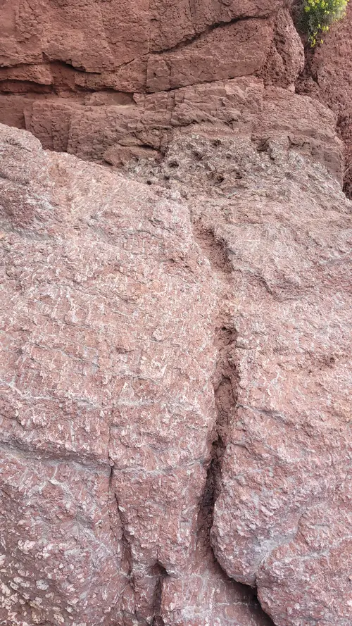 Stone178 texture