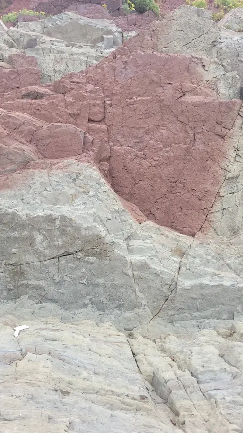 Stone188 texture