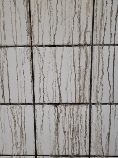 Tile1 texture