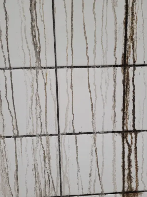 Tile2 texture