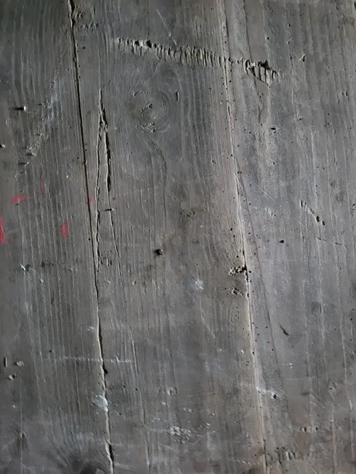 Wood7 texture