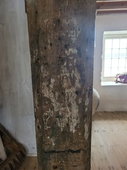 Wood13 texture