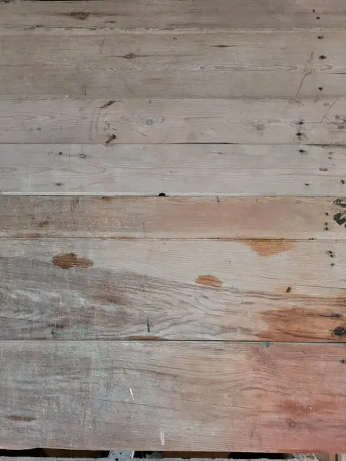Wood17 texture
