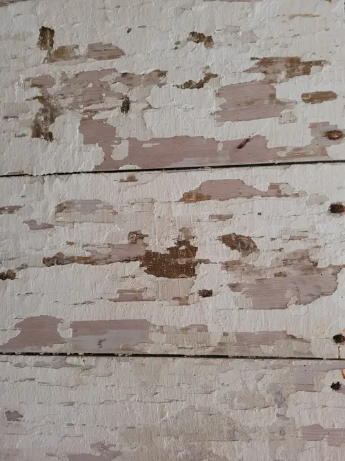 Wood20 texture