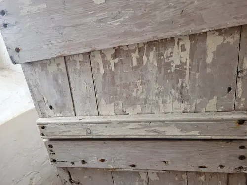 Wood22 texture