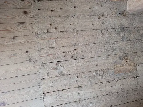 Wood24 texture