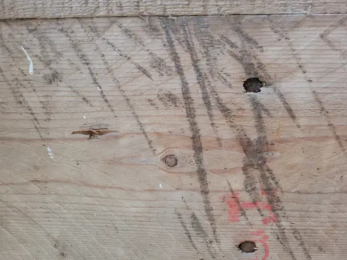 Wood25 texture