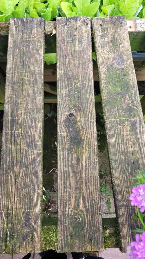 Wood45 texture