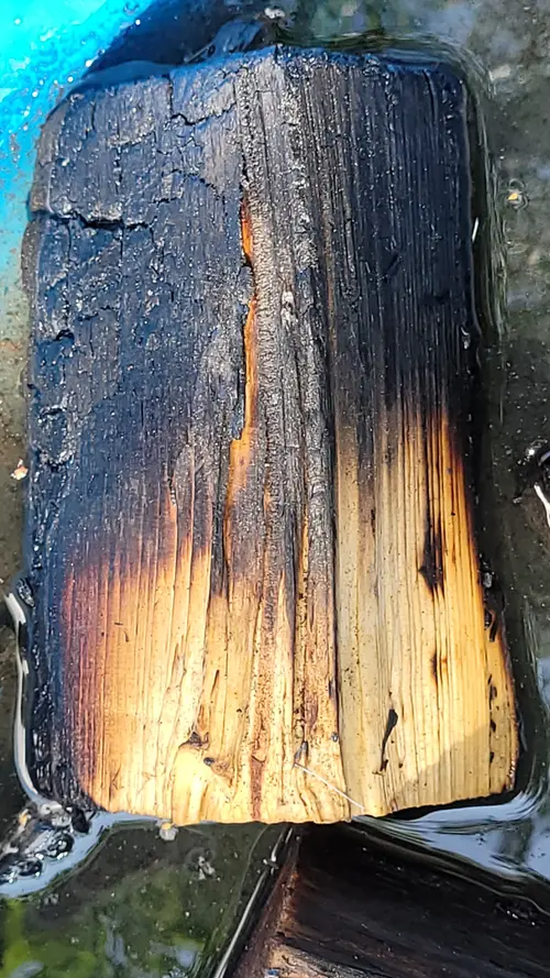 Wood54 texture