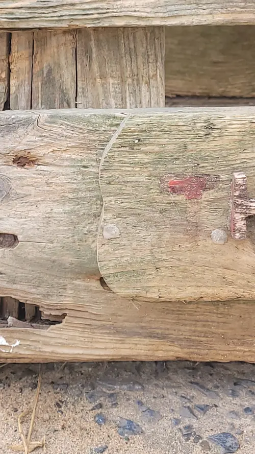 Wood60 texture